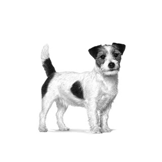 Foto 3 | Foto 3 | Royal Canin Urinary So Small Dog 4 Kg Original Sellado + Pelota Spiny Caucho