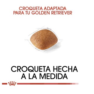 Foto 3 | Foto 3 | Royal Canin Bhn Golden Retriever Adult 13.6 Kg Original + Pelota Spiny Caucho
