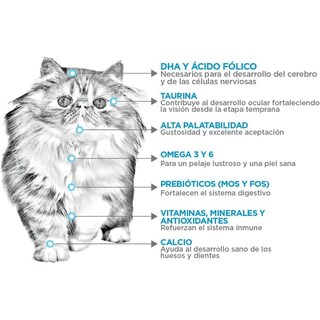 Foto 2 | Foto 2 | Upec Felino Kitten 3kg + Pelota Spiny Caucho