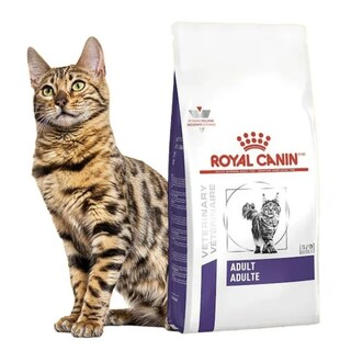 Foto 1 | Foto 1 | Royal Canin Adult Feline 10 Kg Original Sellado + Pelota Spiny Caucho