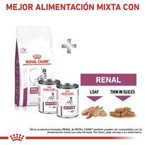 Royal Canin Renal Support Feline 1.37 Kg + Pelota Spiny Caucho