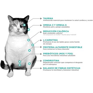 Foto 2 | Foto 2 | Nupec Felino Weight Care 3kg + Pelota Spiny Caucho