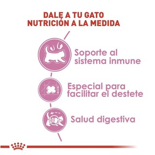 Foto 3 | Foto 3 | Royal Canin Mother & Babycat 1.37 Kg Original Sellado + Pelota Spiny Caucho