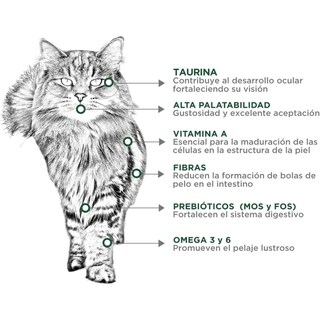 Foto 2 | Foto 2 | Nupec Felino Hairball 1.5kg + Pelota Spiny Caucho