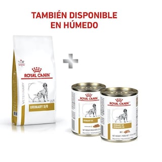 Foto 1 | Foto 1 | Audífonos Gamer Inalámbricos Logitec con Micrófono