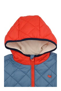 Foto 1 | Foto 1 | Chamarra Ferrioni Azul Bebo