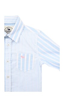 Foto 5 | Foto 5 | Camisa Ferrioni Azul Bebo