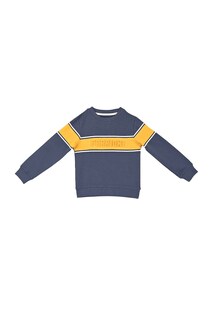 Foto 1 | Foto 1 | Sudadera Ferrioni Azul Niño