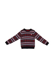 Foto 1 | Foto 1 | Suéter Ferrioni para Niño