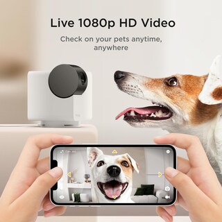 Foto 2 | Foto 2 | Cámara De Seguridad Petcube Cam 360 Paquete De 2 Con Vídeo Hd De 1080p - Venta Internacional.