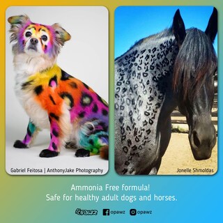 Foto 4 | Foto 4 | Tinte Para Pelo De Perro Opawz Permanent Super Black 20 Lavados - Venta Internacional.