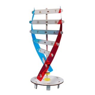 Foto 1 | Foto 1 | Experimentos Científicos En Madera Modelo Dna Double Helix Para Niños De 8 A 14 Años - Venta Internacional.