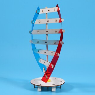 Foto 2 | Foto 2 | Experimentos Científicos En Madera Modelo Dna Double Helix Para Niños De 8 A 14 Años - Venta Internacional.