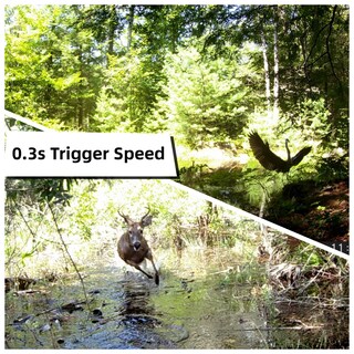 Foto 4 | Foto 4 | Cámara De Trail Wosoda 30 Mp 1080p Hd Activada Por Movimiento A Prueba De Agua - Venta Internacional.