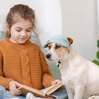 Foto 4 | Foto 4 | Gorra De Béisbol Symphonyw Para Perros Grande Verde Con Orificios Para Las Orejas - Venta Internacional.