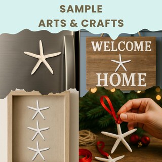 Foto 7 | Foto 7 | Starfish Decor Nautical Crush Trading Paquete De 20 Unidades De 5 A 8 Cm Color Blanco - Venta Internacional.