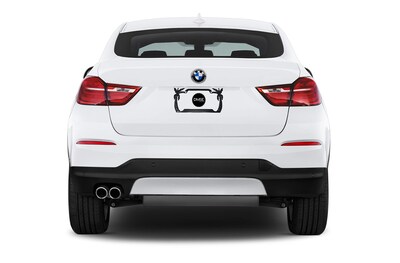 Foto 2 | Foto 2 | Marco De Matrícula Dmse Wholesale Palmera Metal Negro 16 X 31 Cm - Venta Internacional.