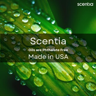 Foto 3 | Foto 3 | Aceite Esencial Scentia California Breeze 50 Ml Aromaterapia - Venta Internacional.