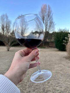 Foto 6 | Foto 6 | Juego De 2 Copas De Vino Flotantes Bubblewally De 530 Ml Irrompibles - Venta Internacional.