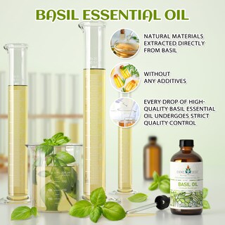 Foto 3 | Foto 3 | Aceite Esencial Evoke Occu Basil 120 Ml Para Difusor De Masaje Cutáneo - Venta Internacional.