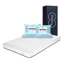 Colchón En Caja Restonic Trinity Queen Size + 2 Almohadas Trinity