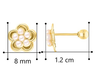 Foto 4 | Foto 4 | Broquel Flor 5 Perlitas Oro 10k Horoz V12 C452