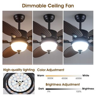 Foto 6 | Foto 6 | Ventilador De Techo Wiviniya Tropical De 50 Pulgadas Con Luces Y Control Remoto - Venta Internacional.