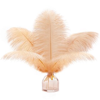 Foto 1 | Foto 1 | Feathers Soarer Champagne Avestruz 30-35 Cm Para Jarrón 15 Unidades - Venta Internacional.
