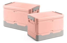 Caja para Almacenamiento y Plegable con Tapa de 16L Modelo Rosa 2 Piezas