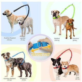 Foto 6 | Foto 6 | Correa Doble Para Perros Brilliant Paw Splitter Ajustable Color Negro - Venta Internacional.