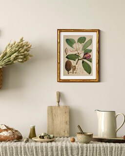 Foto 5 | Foto 5 | Arte De Pared En Pintura Botánica De Magnolias De Simsea 28 X 36 Cm - Venta Internacional.