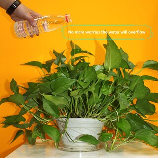 Foto 5 | Foto 5 | Platillos Para Plantas Planter Gardzen De Plástico Transparente De 10 Pulgadas Paquete De 10 - Venta Internacional.