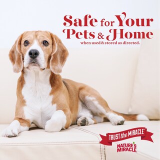 Foto 5 | Foto 5 | Destructor De Orina Enzimático Para Perros Nature's Miracle 1 9 L - Venta Internacional.