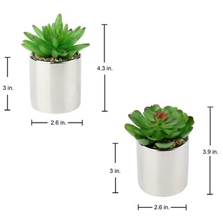 Foto 6 | Foto 6 | Set Briful De 2 Minimacetas Plateadas Para Suculentas Artificiales - Venta Internacional.