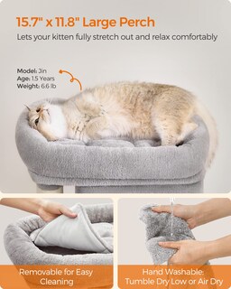 Foto 3 | Foto 3 | Cat Tree Feandrea Cat Tower S Con Condominio Para Gatos Y Rascador - Venta Internacional.