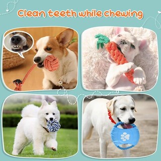 Foto 2 | Foto 2 | Set Juguetes De Cuerda Belug Para Perro Morder Paquete De 10pz Multicolor