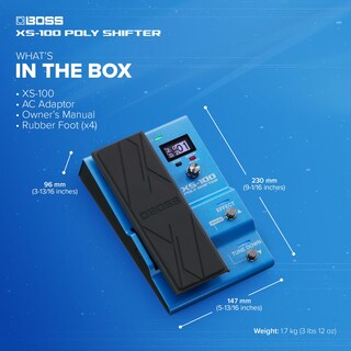 Foto 4 | Foto 4 | Estación De Trabajo Con Cambio De Tono Boss Xs-100 Poly Shifter - Venta Internacional.