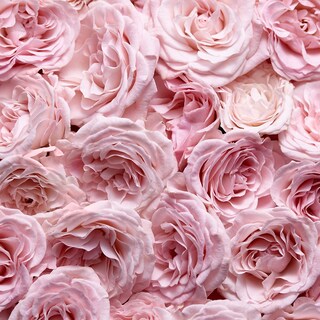 Foto 4 | Foto 4 | Perfume Escada Specially Eau De Parfum 50 Ml Para Mujer - Venta Internacional.