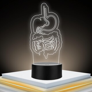 Foto 1 | Foto 1 | Artea 19 Lámpara De Gastrointestinal 3d lámpara Luz Nocturna Led figura Anatomía Humana lámpara Acrílico Luces Cambiantes luces