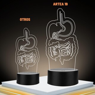 Foto 2 | Foto 2 | Artea 19 Lámpara De Gastrointestinal 3d lámpara Luz Nocturna Led figura Anatomía Humana lámpara Acrílico Luces Cambiantes luces