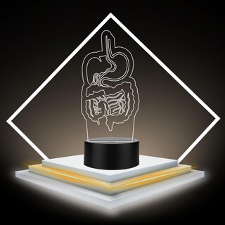 Foto 3 | Foto 3 | Artea 19 Lámpara De Gastrointestinal 3d lámpara Luz Nocturna Led figura Anatomía Humana lámpara Acrílico Luces Cambiantes luces