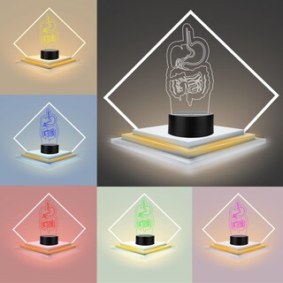 Foto 5 | Foto 5 | Artea 19 Lámpara De Gastrointestinal 3d lámpara Luz Nocturna Led figura Anatomía Humana lámpara Acrílico Luces Cambiantes luces
