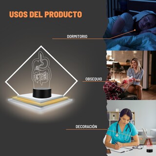 Foto 6 | Foto 6 | Artea 19 Lámpara De Gastrointestinal 3d lámpara Luz Nocturna Led figura Anatomía Humana lámpara Acrílico Luces Cambiantes luces