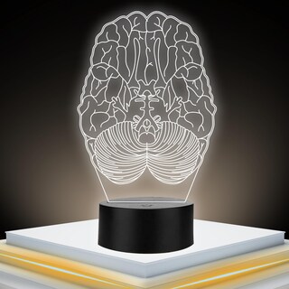 Foto 1 | Foto 1 | Artea 19 Lámpara De Cerebro 3d lámpara Luz Nocturna Led figura Anatomía Humana lámpara Acrílico Luces Cambiantes luces De Noche