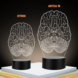 Foto 2 | Foto 2 | Artea 19 Lámpara De Cerebro 3d lámpara Luz Nocturna Led figura Anatomía Humana lámpara Acrílico Luces Cambiantes luces De Noche