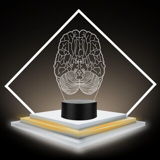 Foto 3 | Foto 3 | Artea 19 Lámpara De Cerebro 3d lámpara Luz Nocturna Led figura Anatomía Humana lámpara Acrílico Luces Cambiantes luces De Noche