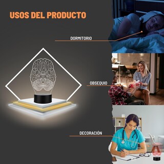 Foto 6 | Foto 6 | Artea 19 Lámpara De Cerebro 3d lámpara Luz Nocturna Led figura Anatomía Humana lámpara Acrílico Luces Cambiantes luces De Noche