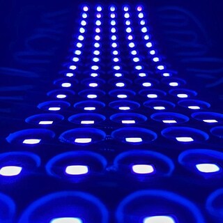 Foto 5 | Foto 5 | Vmingo Tira Modulo Luz 5 Led Blanco Impermeable Pared Publicidad Iluminacion Auto Tuning Universal Ip65 | 60 Piezas (azul)