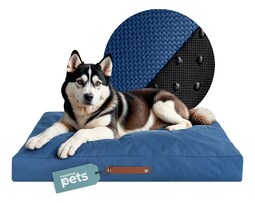 Cama Perro Grande Colchoneta Foam Mascota Esquimal Pets Color Azul Diseño Liso