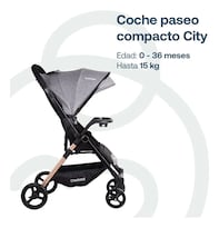 Carriola Infantil Bb2200qb100g Reversible Reclinable Gris Bebesit